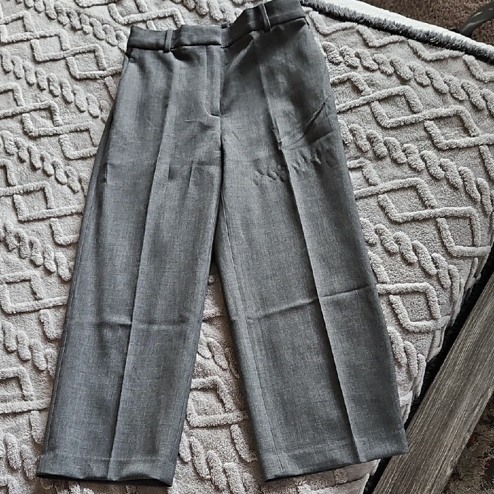 Aritzia Babaton Gray Women's Trousers
